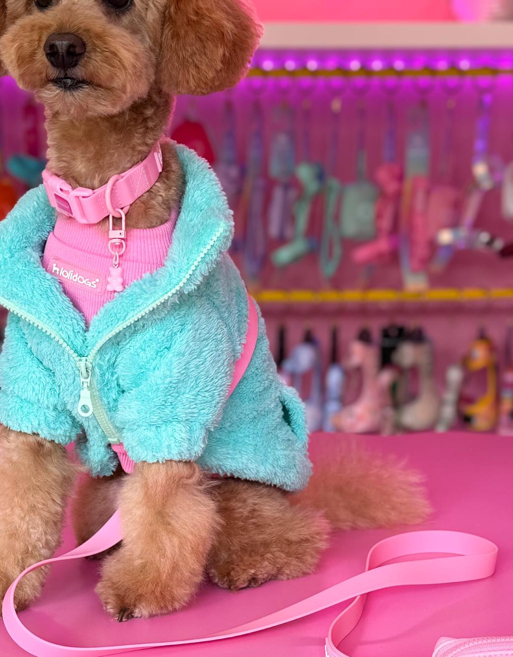 Lolidogs Dog Bomber Jacket |  Minty