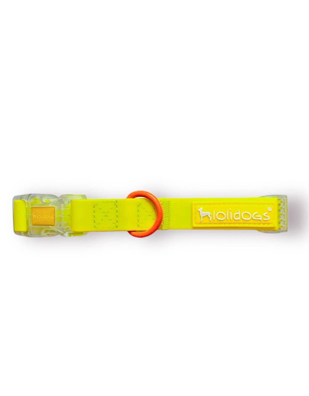 Lolidogs Jelly Collection Köpek Boyun Tasması Sunkiss