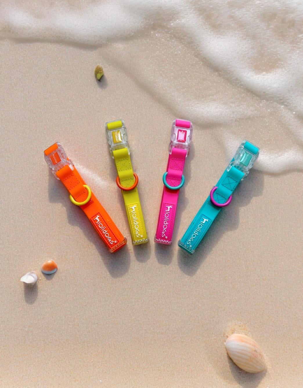 Lolidogs Jelly Collection Köpek Boyun Tasması Sunkiss
