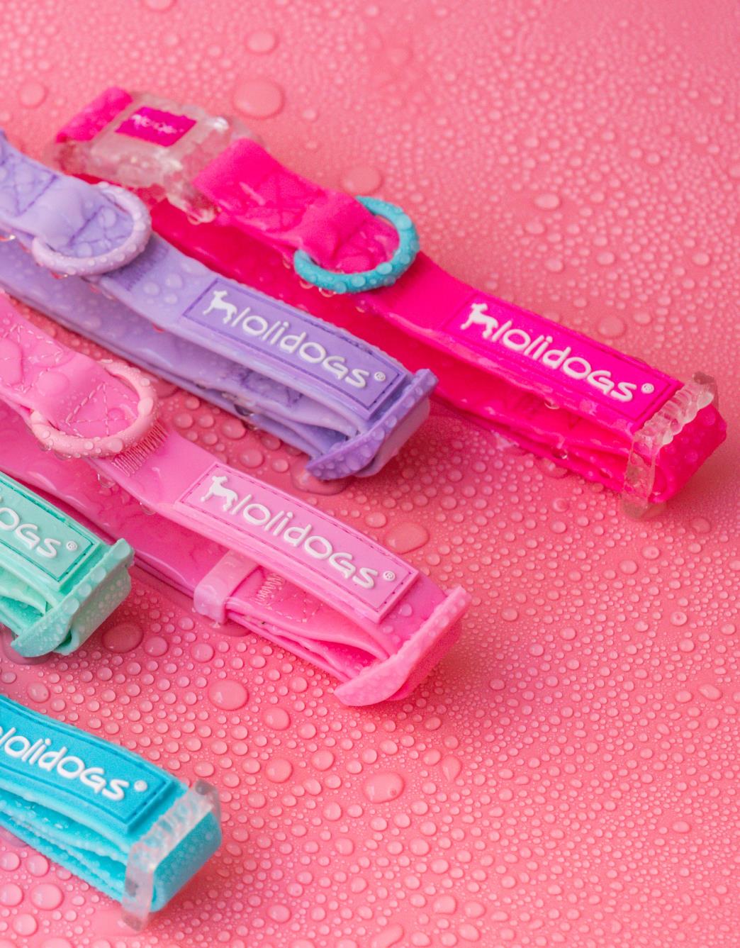 Lolidogs Jelly Collection Köpek Boyun Tasması Candy