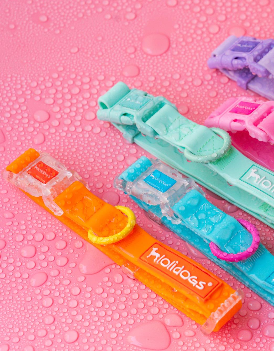 Lolidogs Jelly Collection Köpek Boyun Tasması Berry