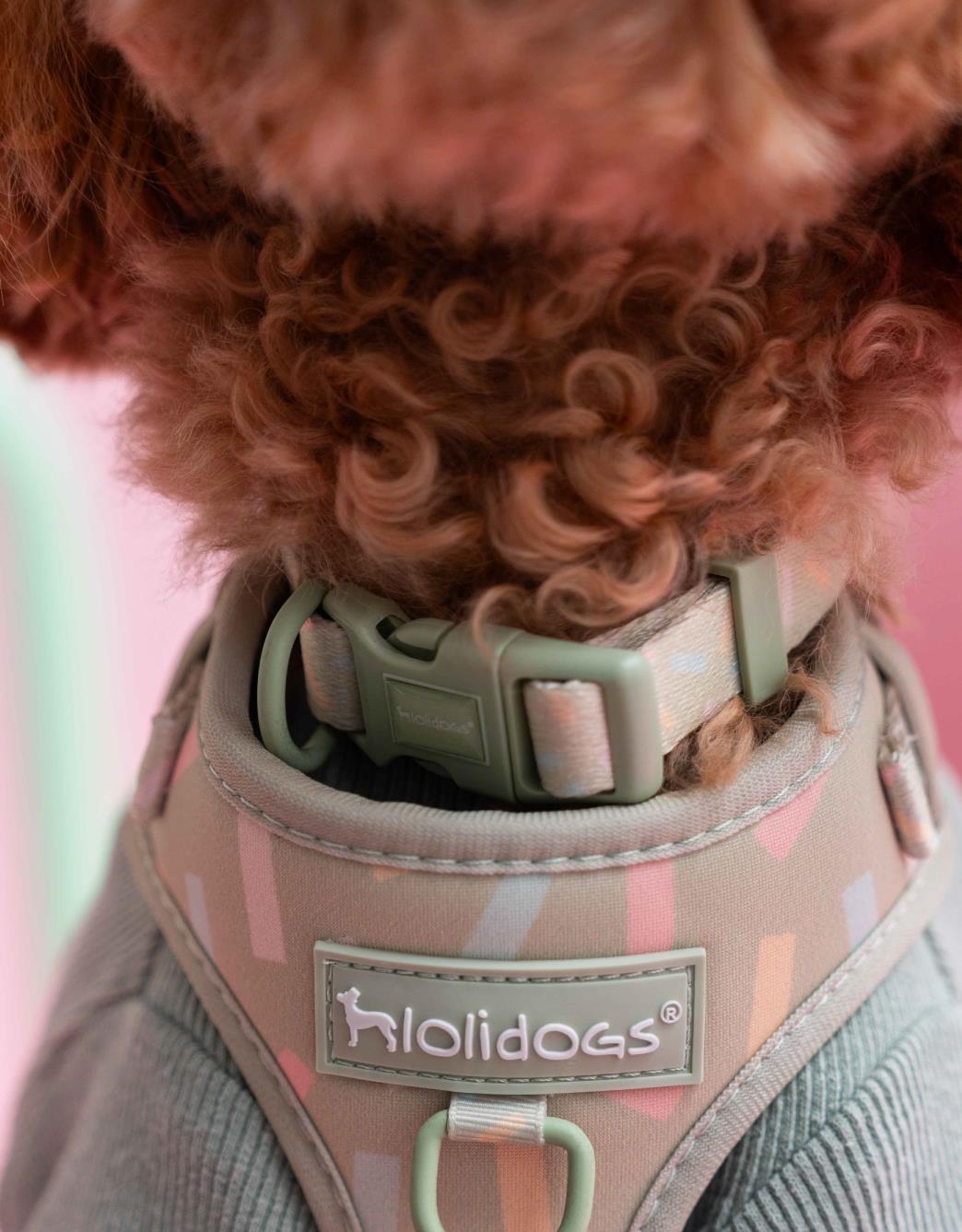 Lolidogs Köpek Boyun Tasması | Sprinkle
