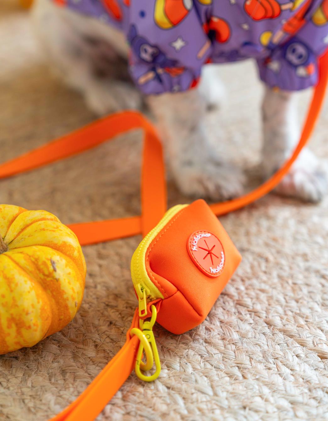Lolidogs Jelly Collection Dog Leash Mango
