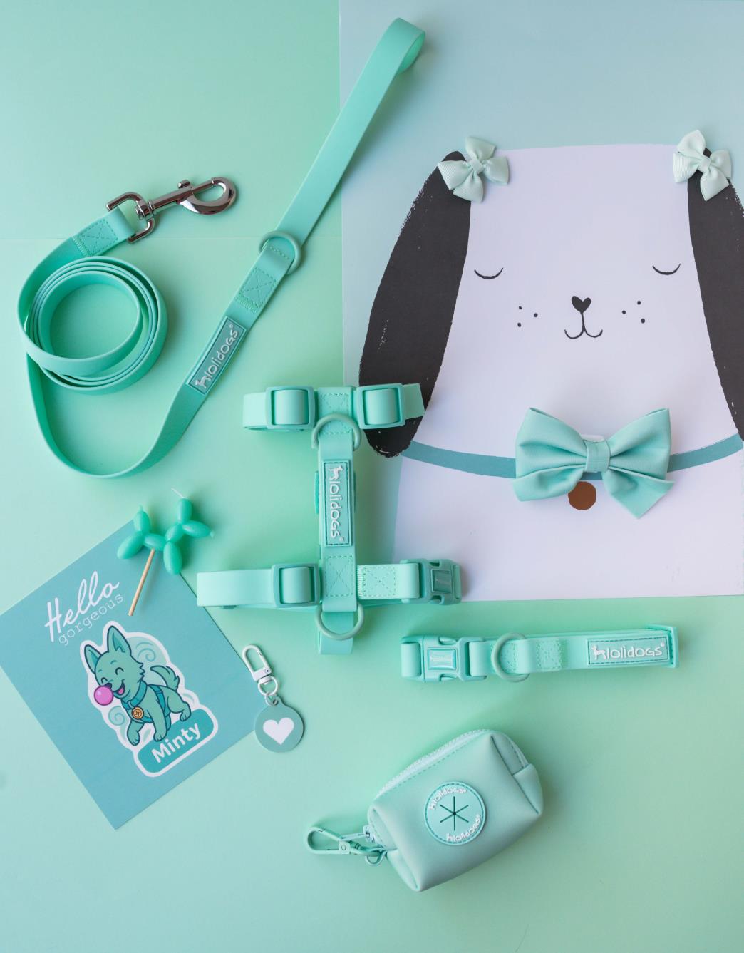 Lolidogs Dream Collection | Köpek Göğüs Tasması Minty