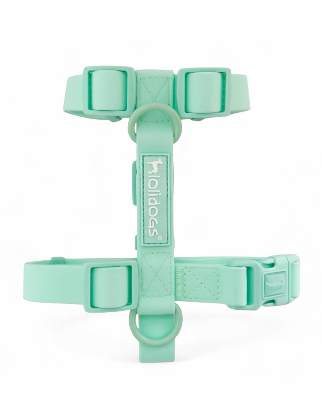 Lolidogs Dream Collection | Köpek Göğüs Tasması Minty