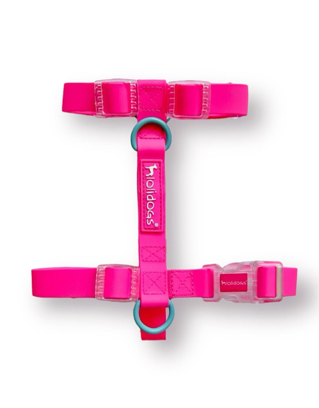 Lolidogs Jelly Collection Köpek Göğüs Tasması Candy