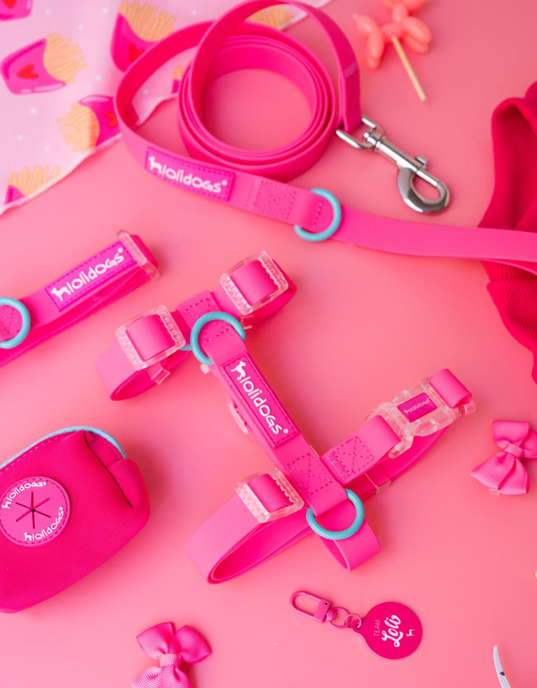 Lolidogs Jelly Collection Köpek Göğüs Tasması Candy