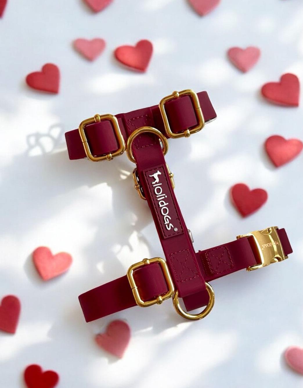Lolidogs Jelly Lux Collection Köpek Göğüs Tasması Ruby Bordo