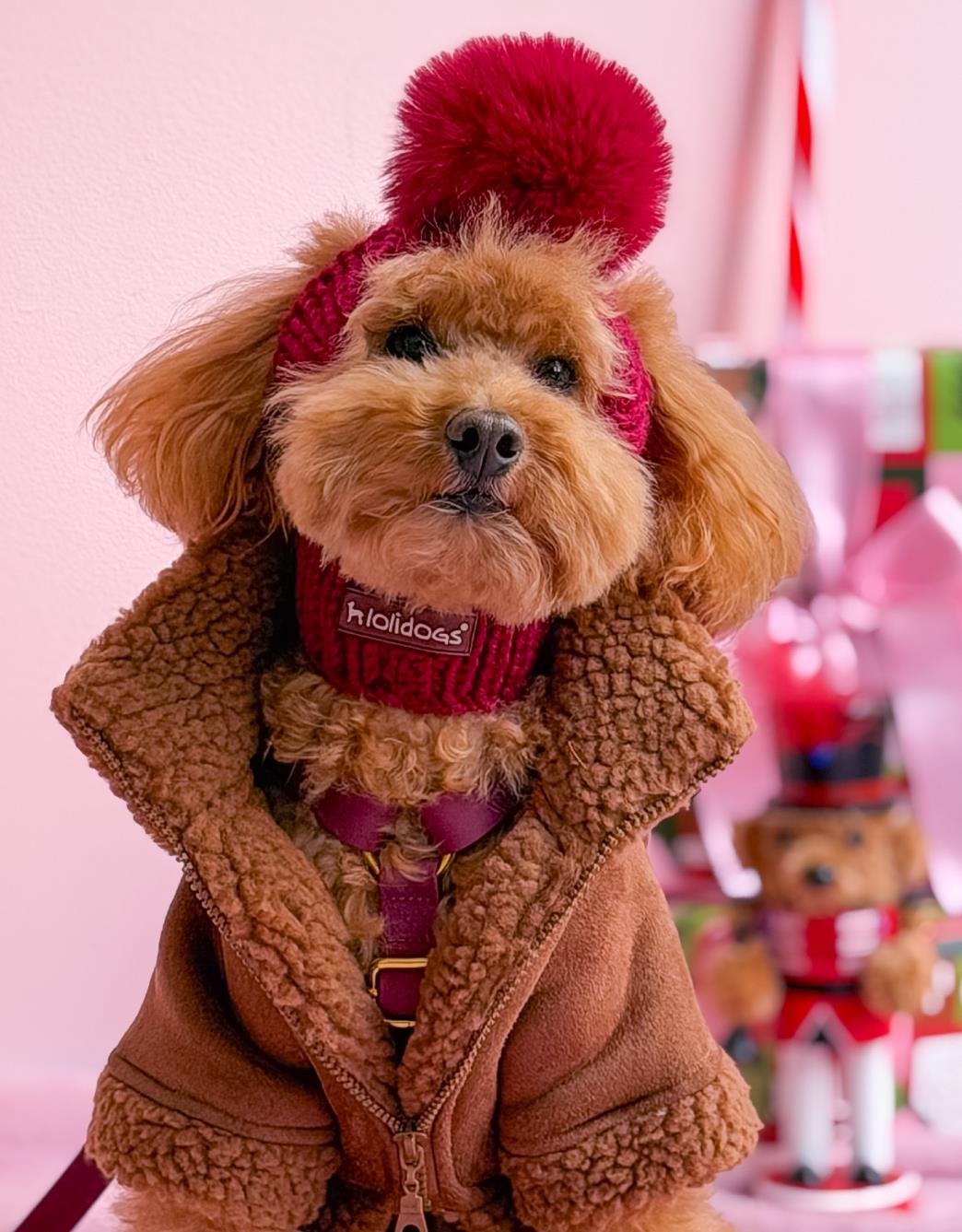 Lolidogs Jelly Lux Collection Köpek Göğüs Tasması Ruby Bordo