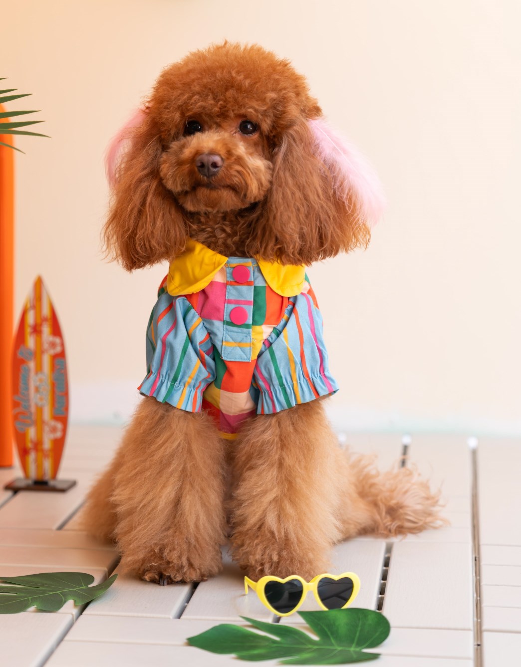 Lolidogs Köpek Gömleği | Pixel Girl