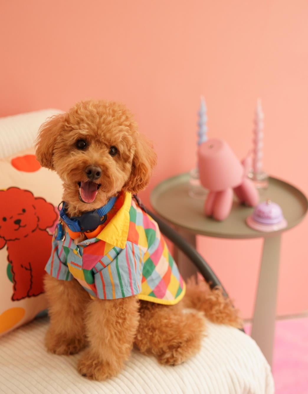 Lolidogs Köpek Gömleği | Pixel Boy