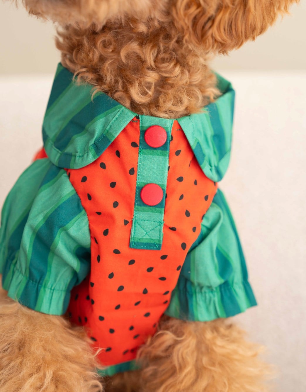 Lolidogs Köpek Gömleği | Watermelon Girl