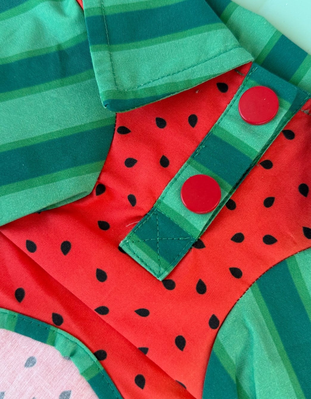 Lolidogs Köpek Gömleği | Watermelon Girl
