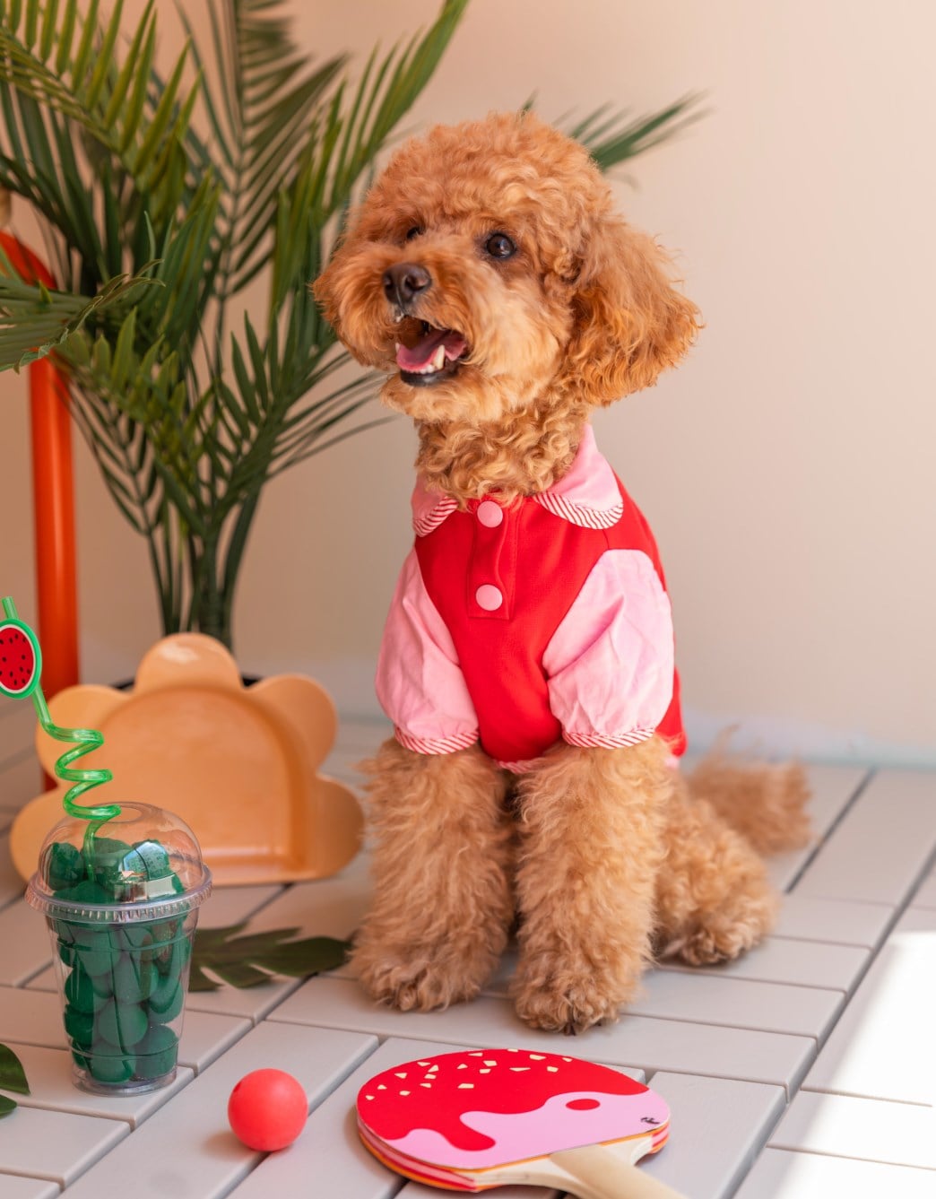 Lolidogs Köpek Tunik Gömlek | Coral