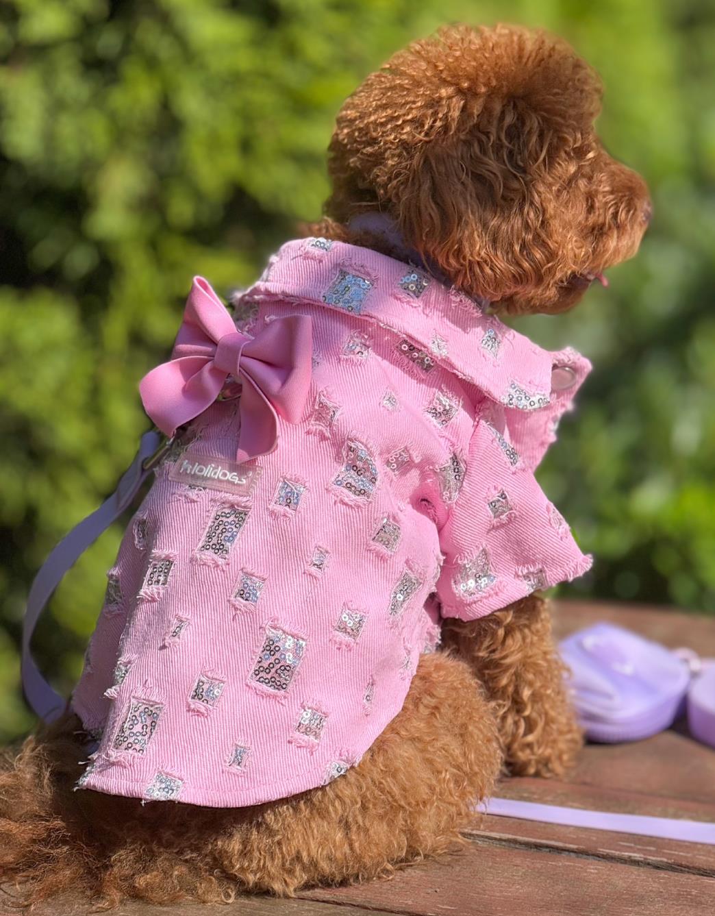 Lolidogs Pullu Köpek Kot Ceket Sugar Pop