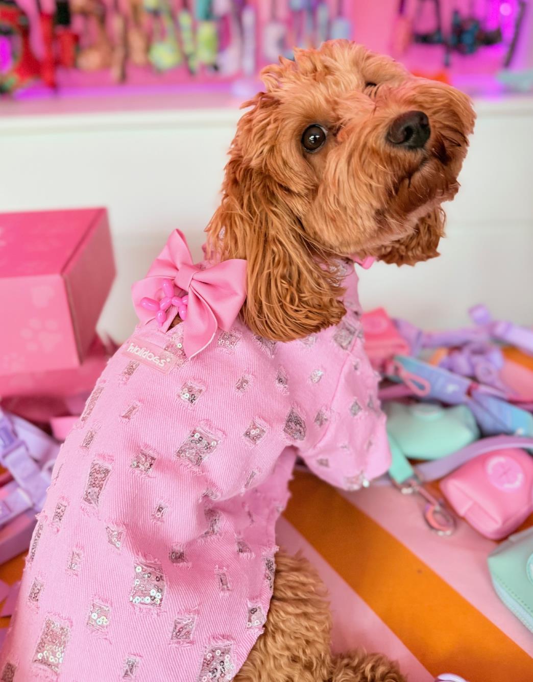 Lolidogs Pullu Köpek Kot Ceket Sugar Pop