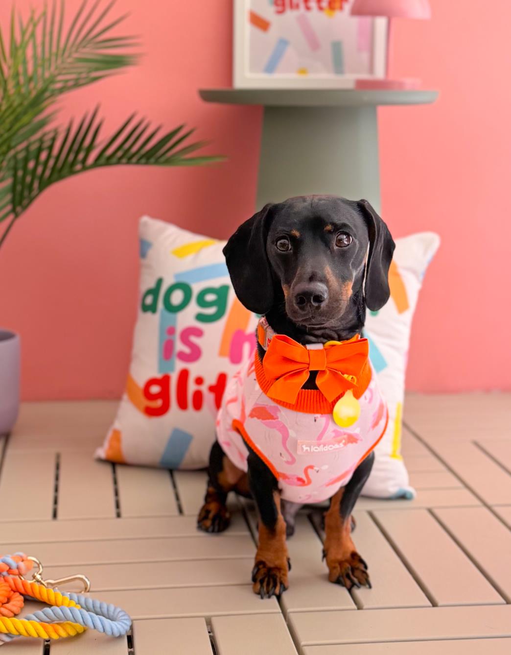Lolidogs Home Collection | Dog Hair is my Glitter Kırlent