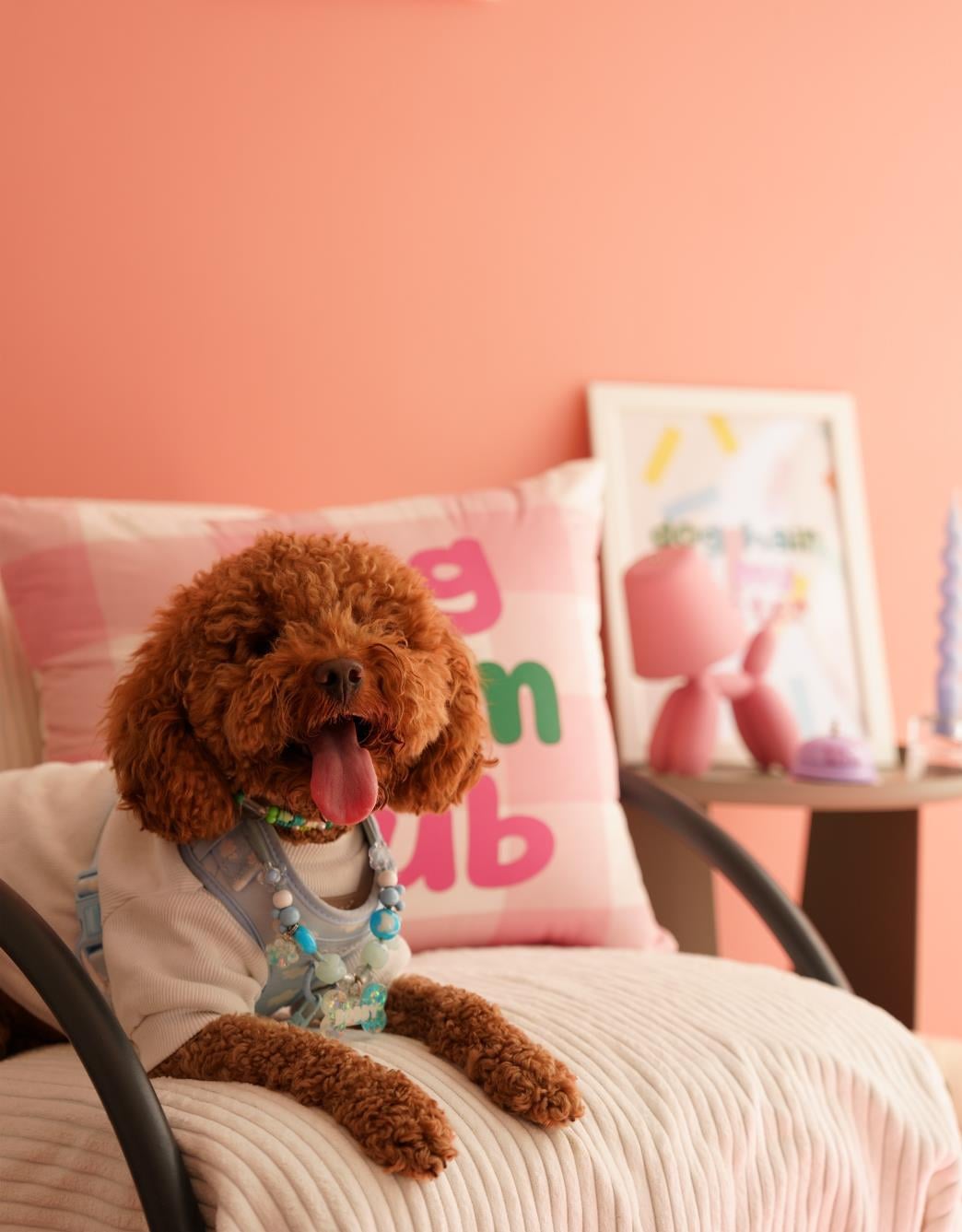 Lolidogs Home Collection | Dog Mom Club Ekose Kırlent