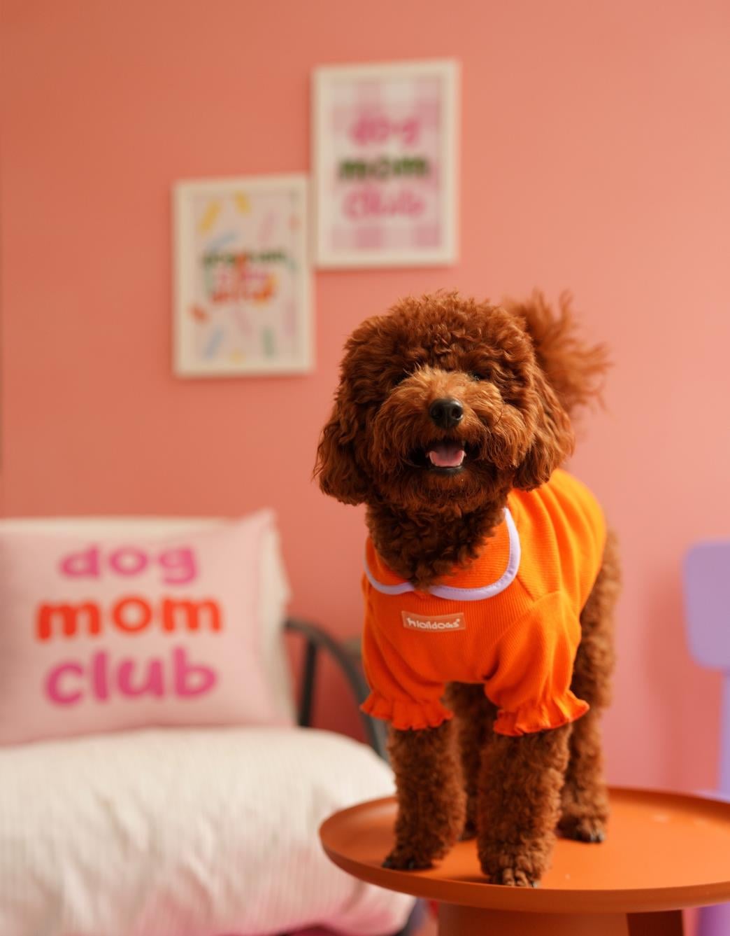 Lolidogs Home Collection | Dog Mom Club Kırlent