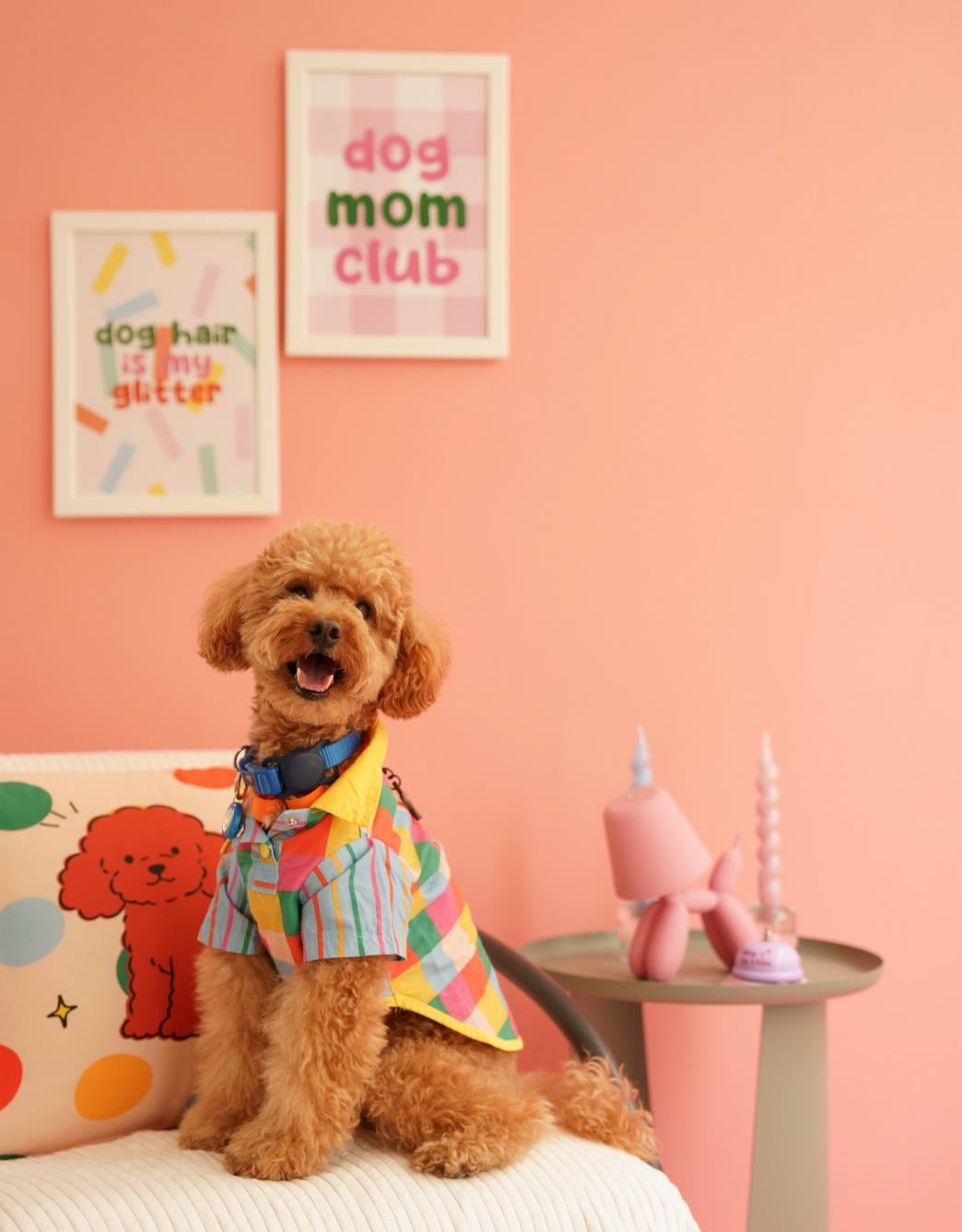 Lolidogs Home Collection | Poodle Kırlent