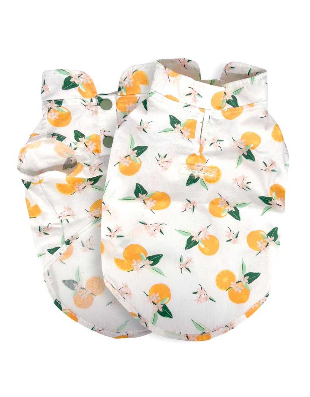 Lolidogs Köpek Gömleği Orange