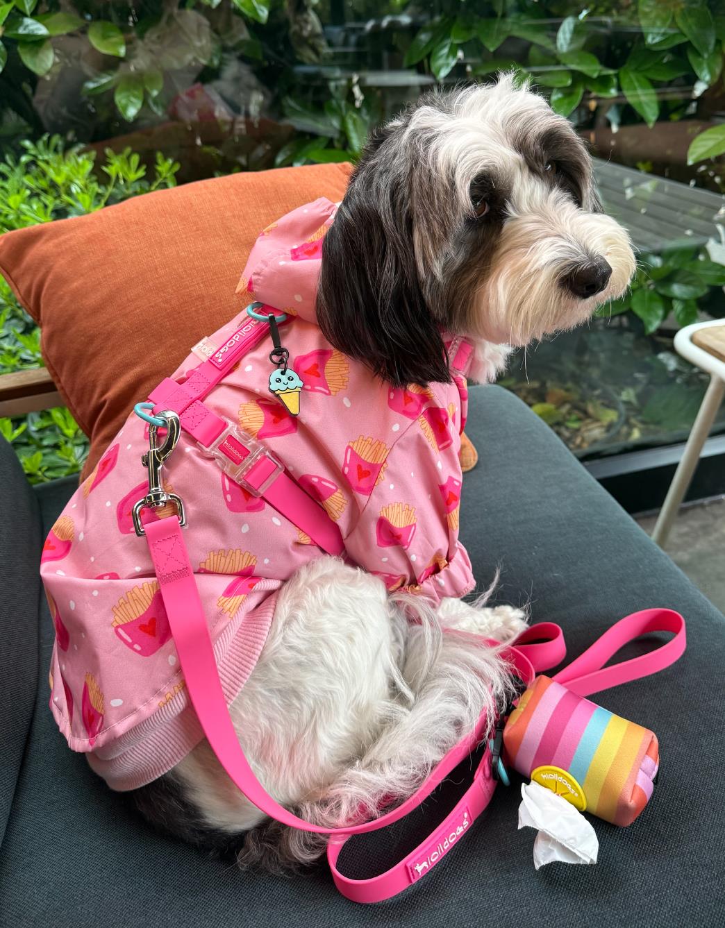 Lolidogs Köpek Yağmurluğu Fries