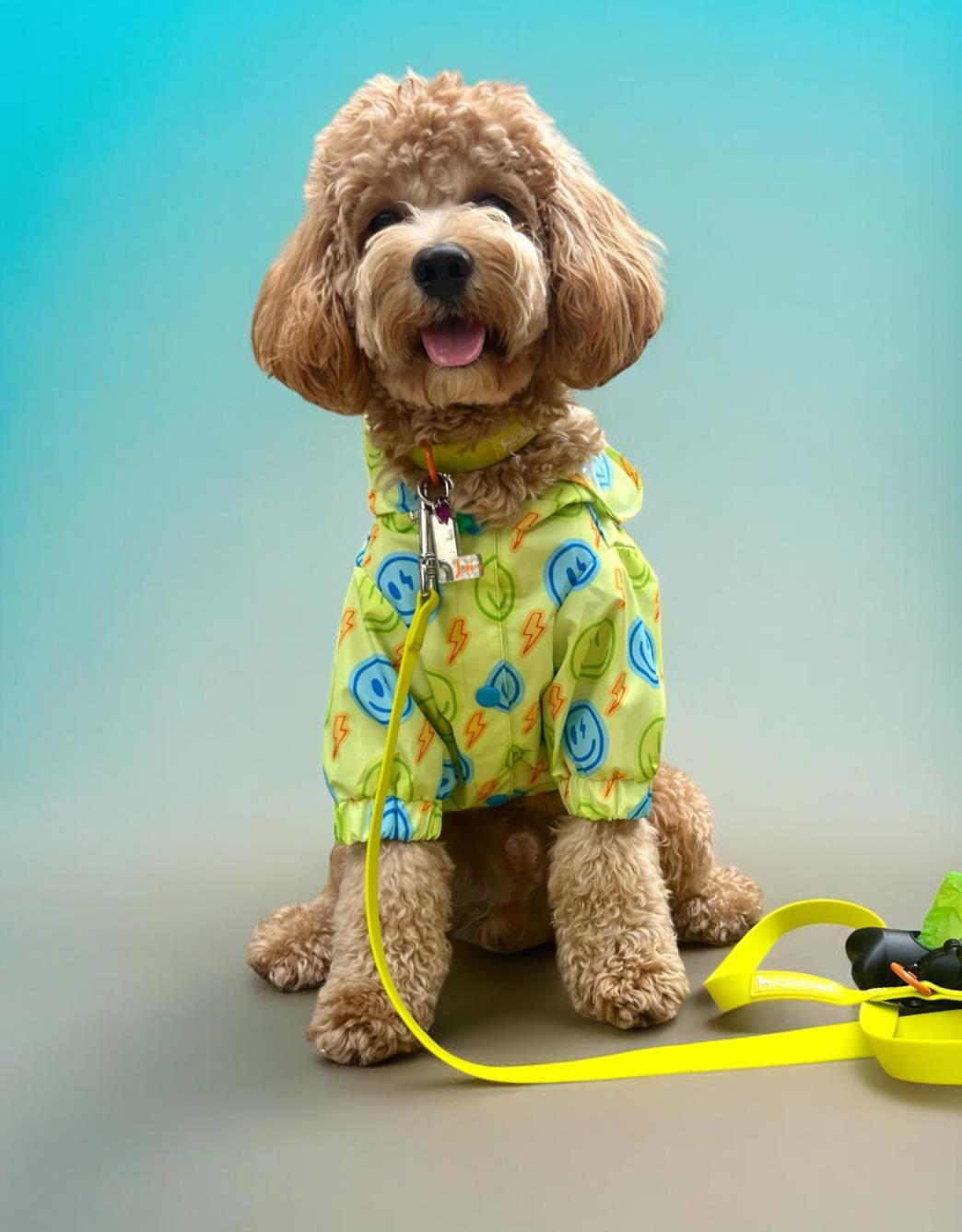 Lolidogs Köpek Yağmurluğu Smiley