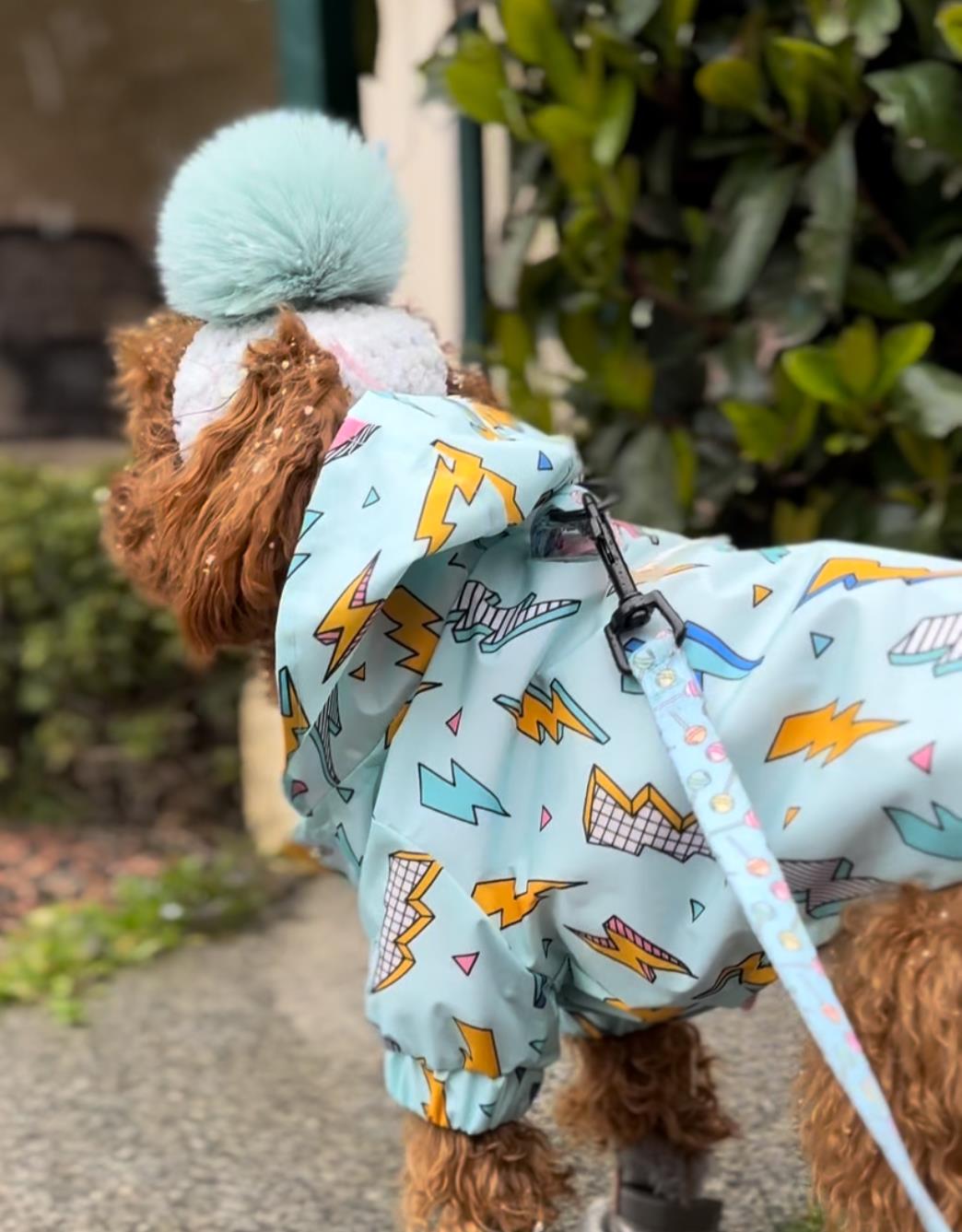 Lolidogs Köpek Yağmurluğu Thor