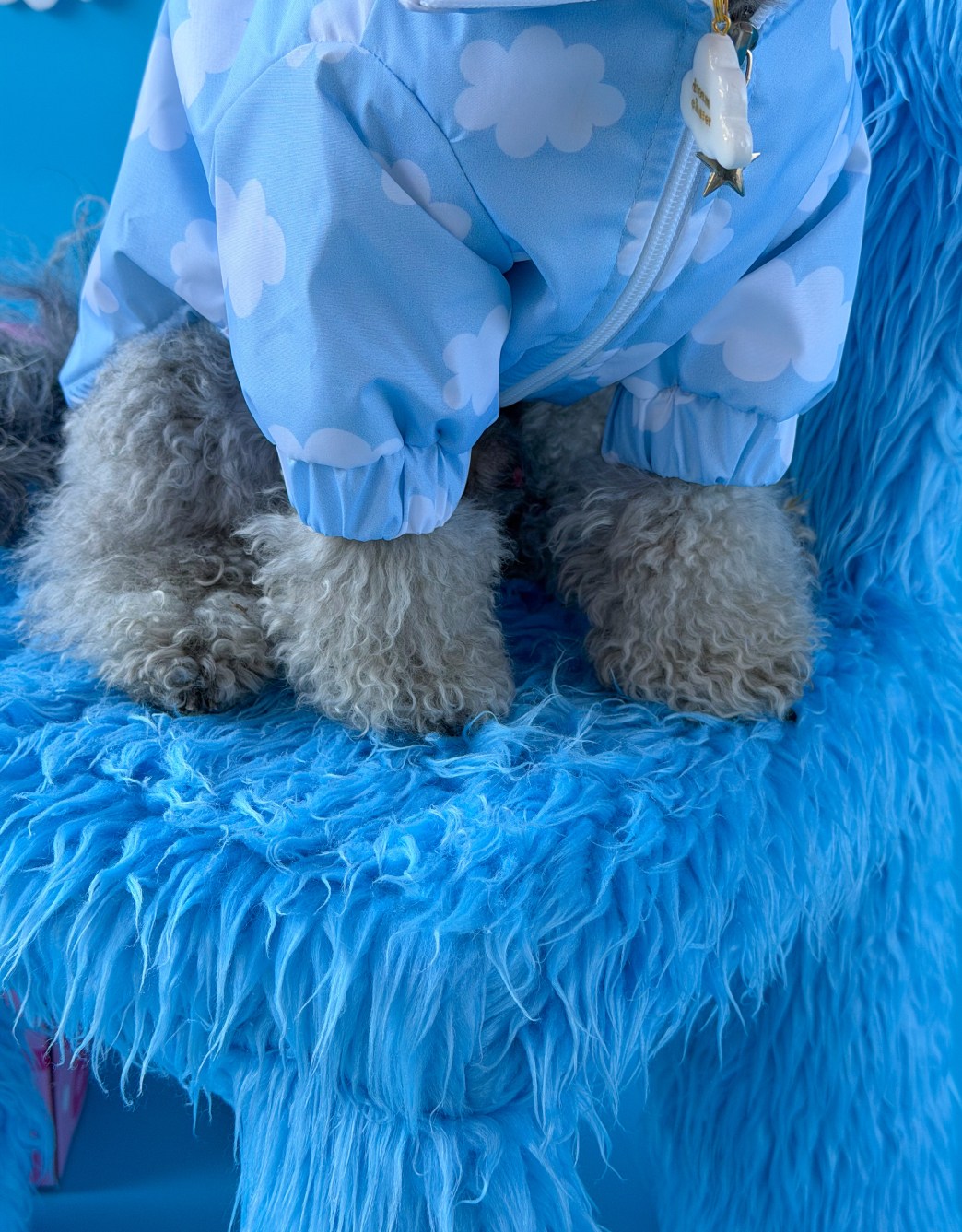 Lolidogs Köpek Montu | Cloud