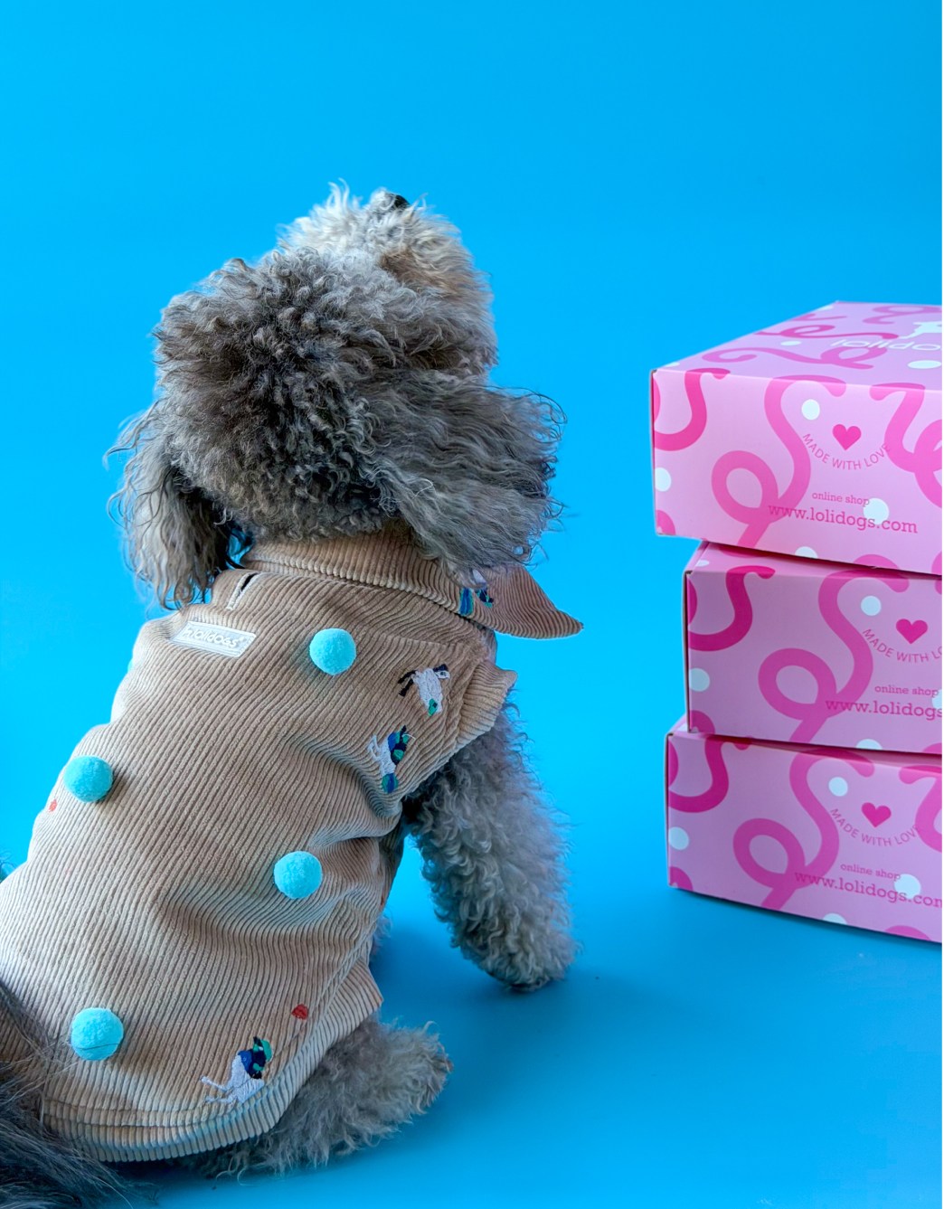 Lolidogs Köpek Montu | Poms
