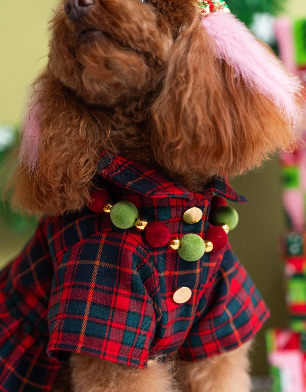 Lolidogs Köpek Kolyesi | Xmas Velvet