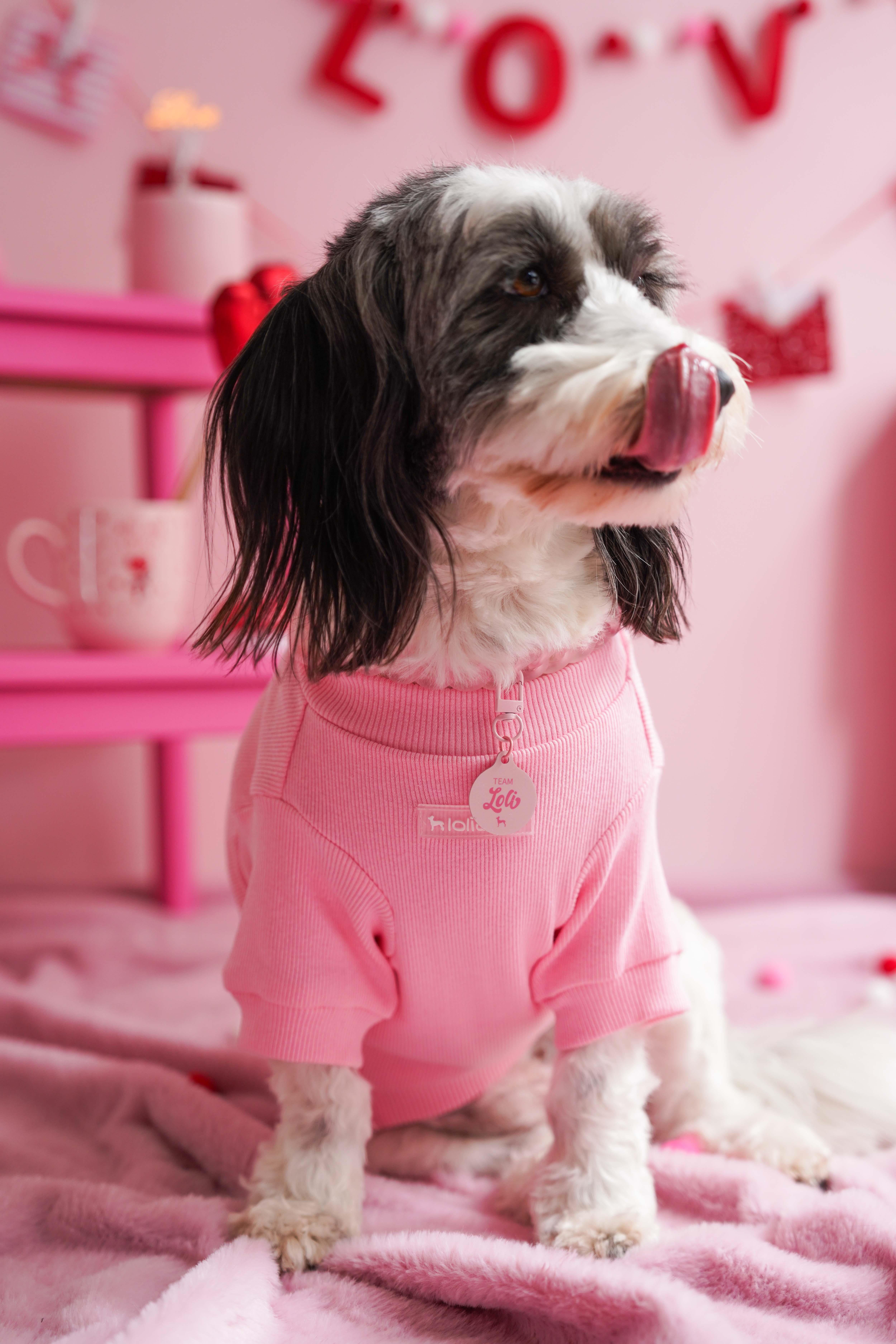 Lolidogs Köpek Künyesi | Loli Hearts Cupid