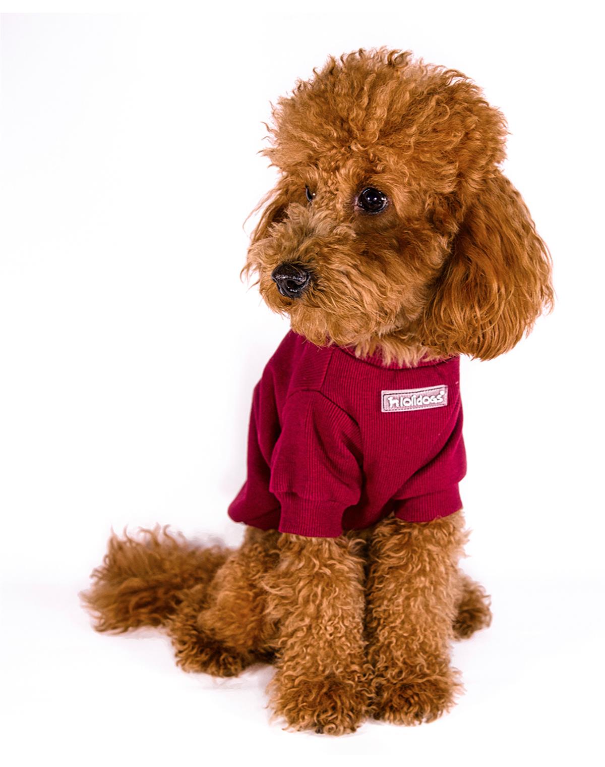 Lolidogs Basics - Kaşkorse Köpek Sweatshirtü Wine Bordo