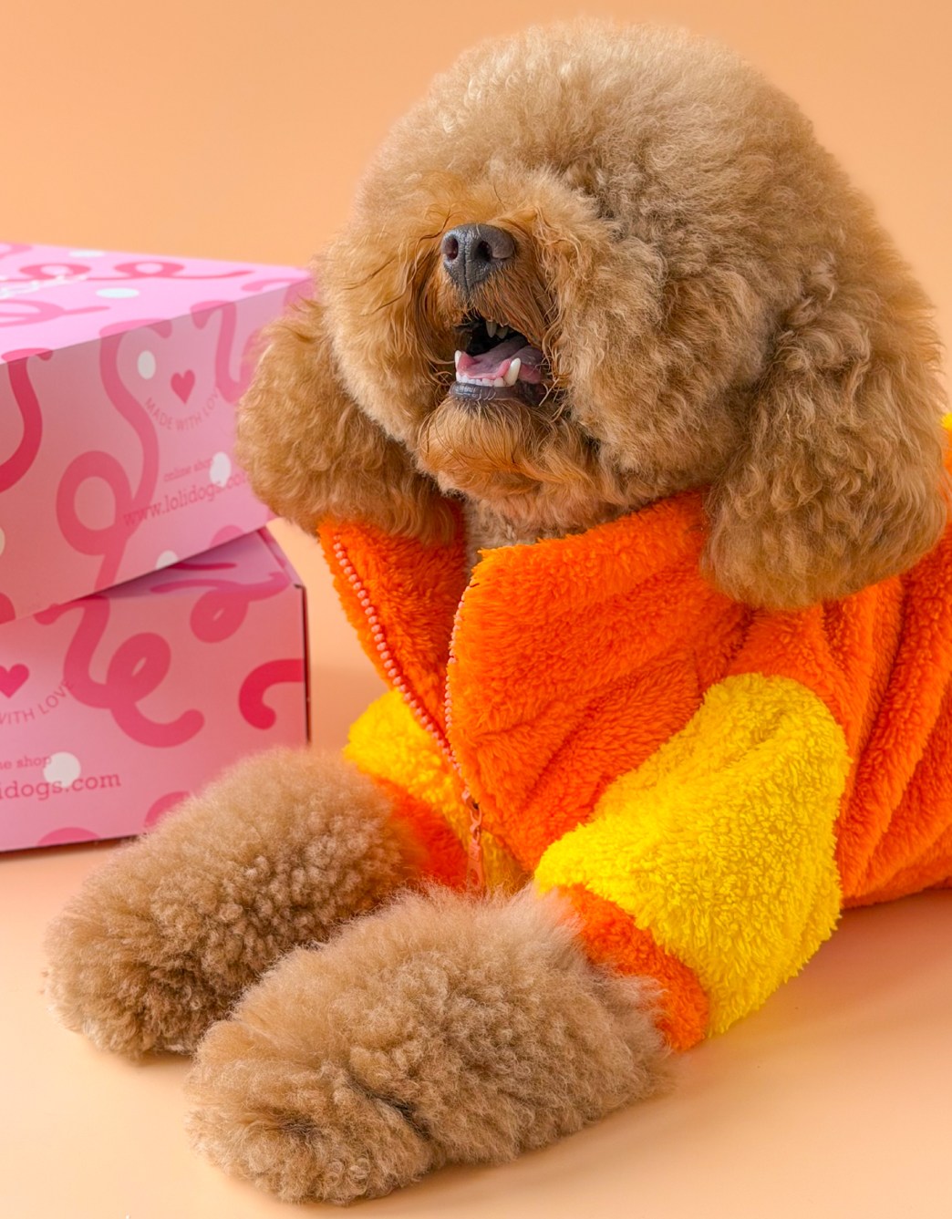 Lolidogs Köpek Bomber Ceket |  Solar