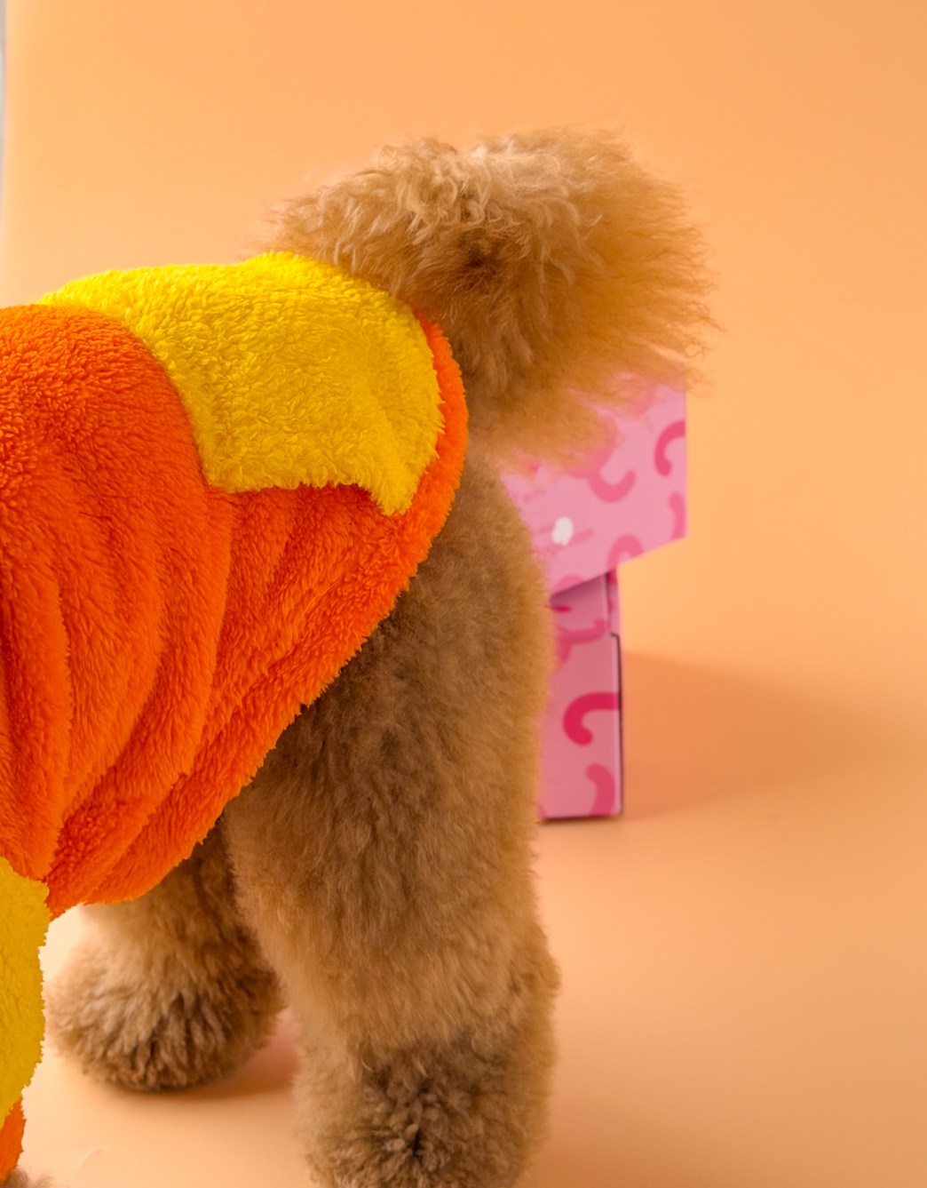 Lolidogs Köpek Bomber Ceket |  Solar