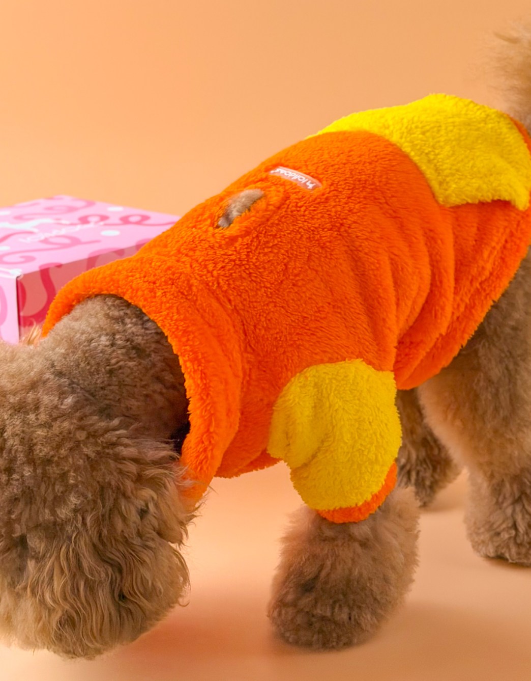 Lolidogs Köpek Bomber Ceket |  Solar