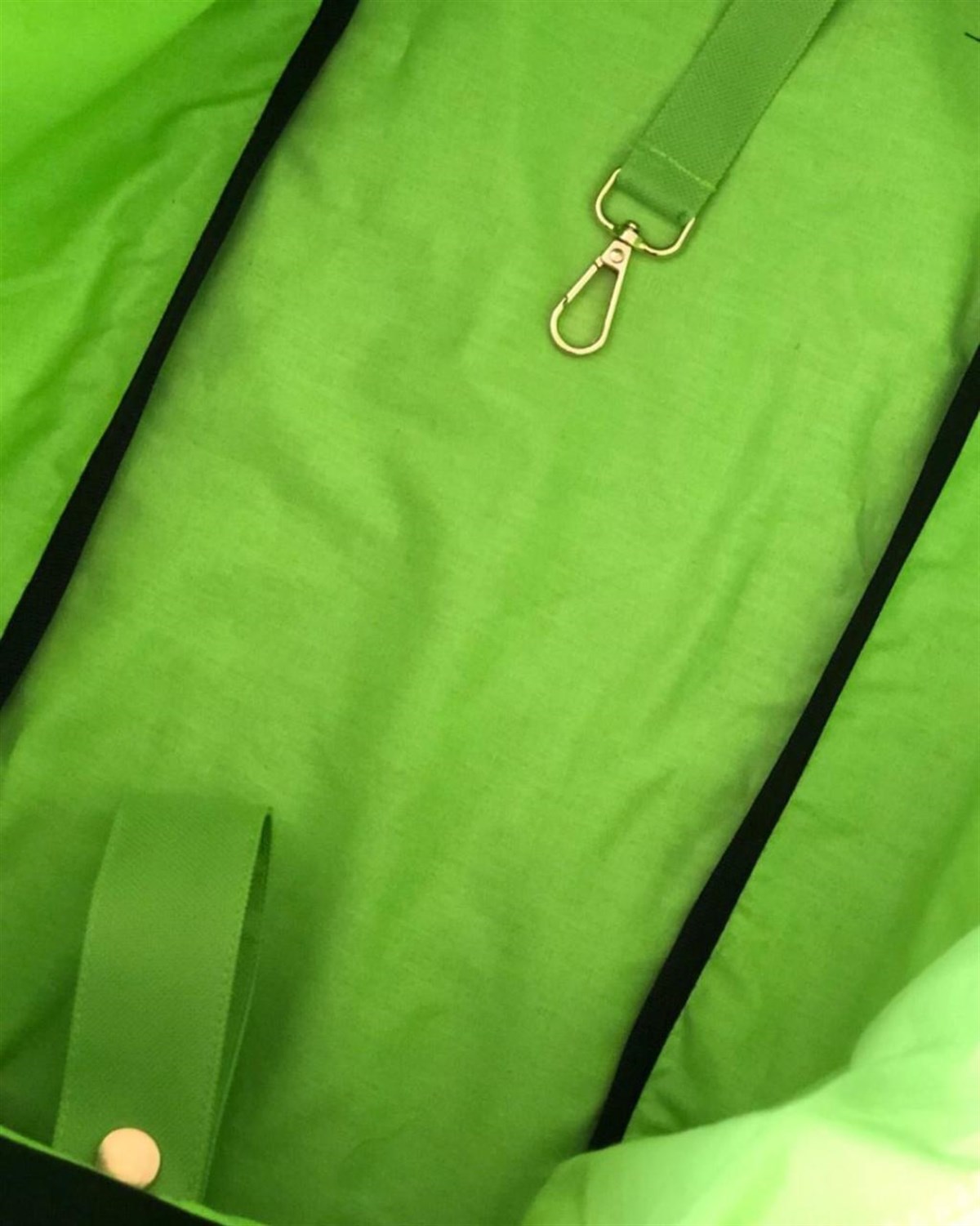 Lolidogs Köpek Taşıma Çantası Lime