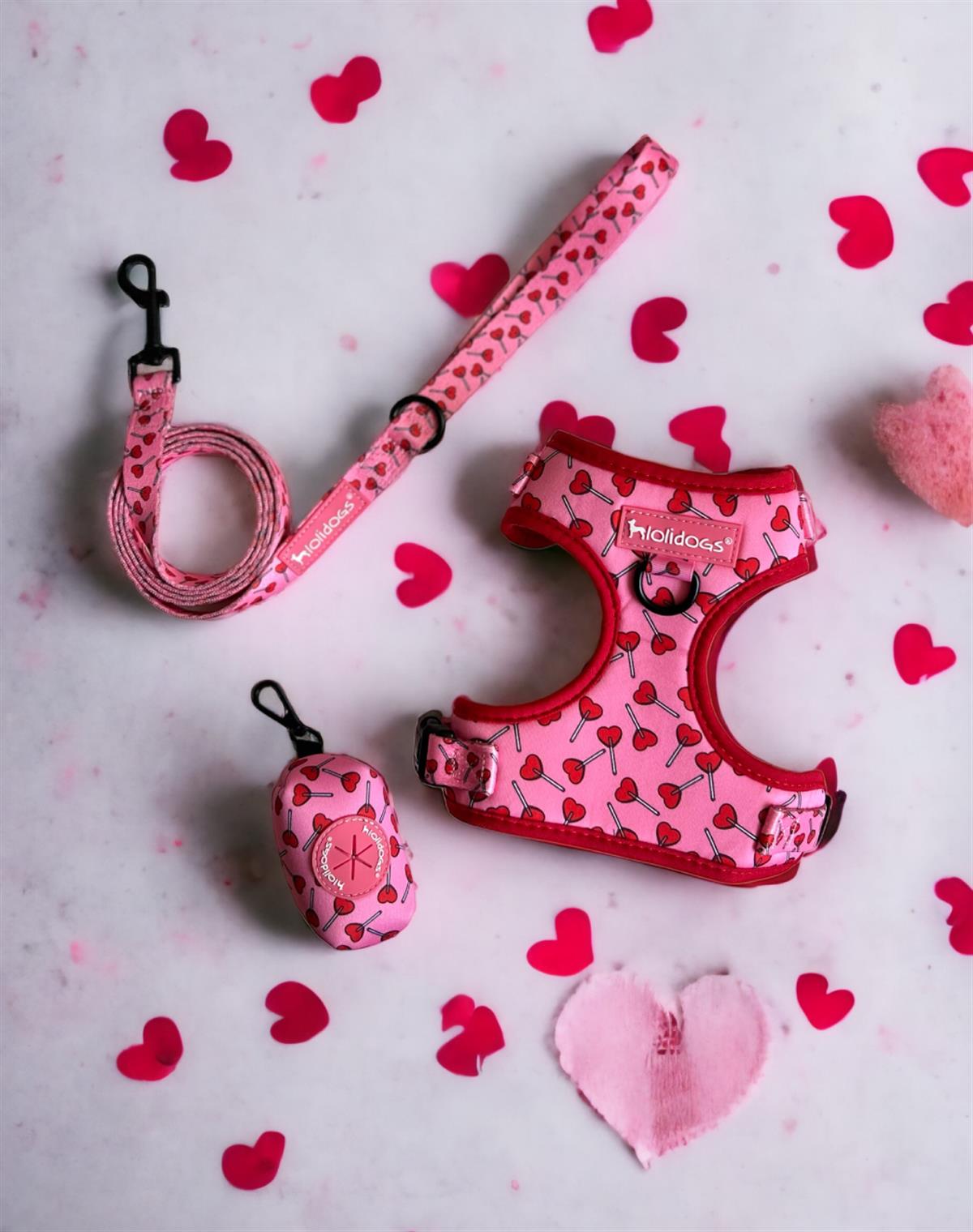 Lolidogs Lover Harness Set