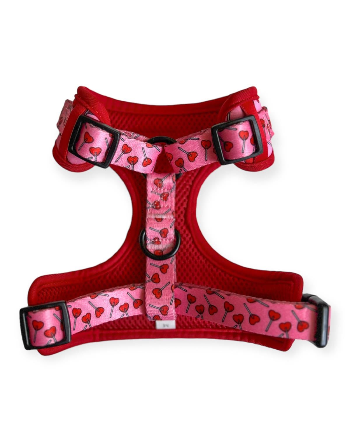 Lolidogs Lover Harness Set