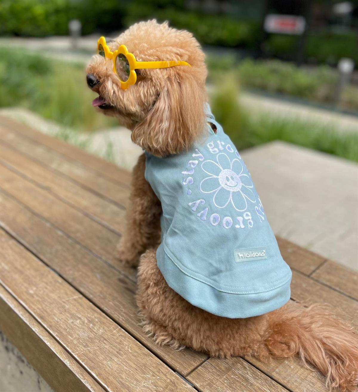 Lolidogs Stay Groovy Köpek Kot Yelek