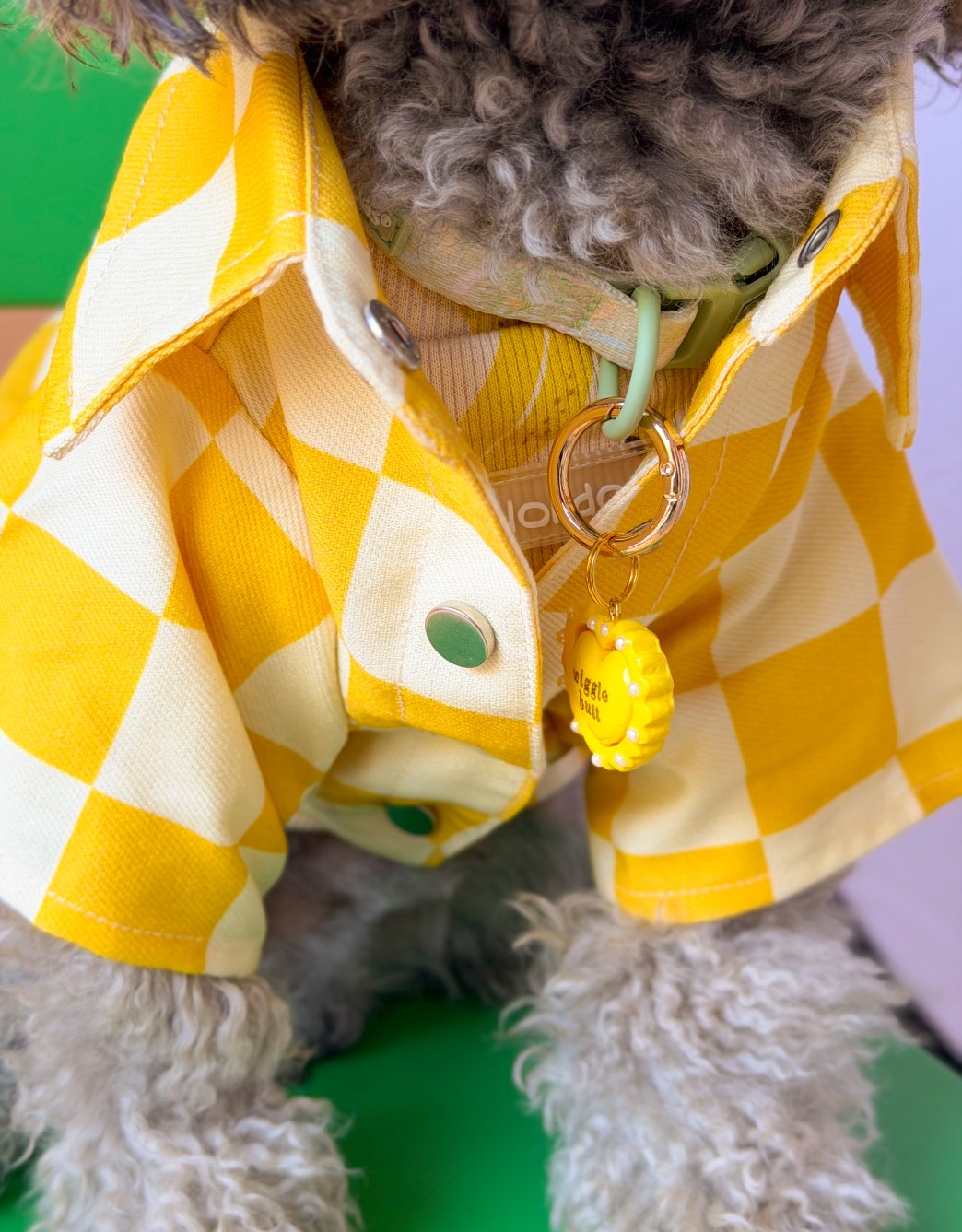 Lolidogs Köpek Ceketi | Checkerboard