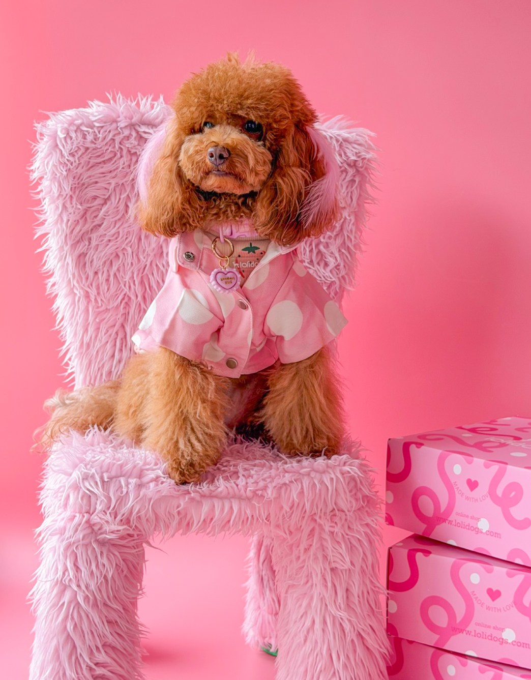 Lolidogs Köpek Ceketi | Pink Dots
