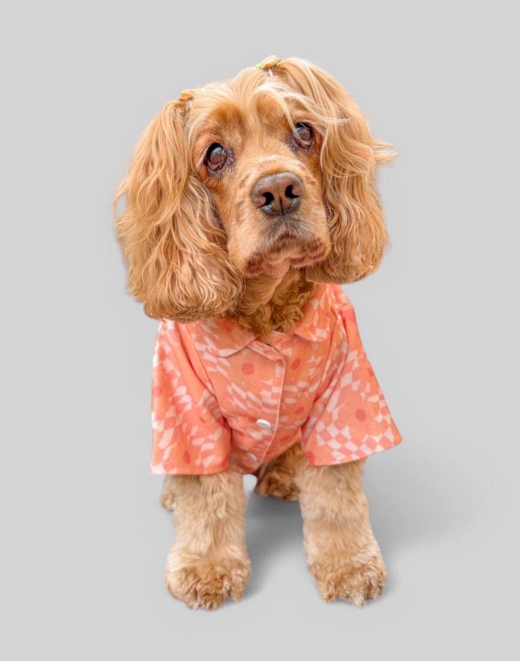 Lolidogs Çiçek Desenli Köpek Kot Ceket Lucy