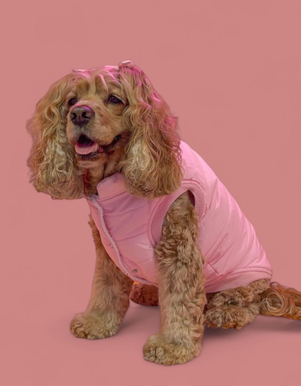 Lolidogs Poudree Şişme Köpek Montu