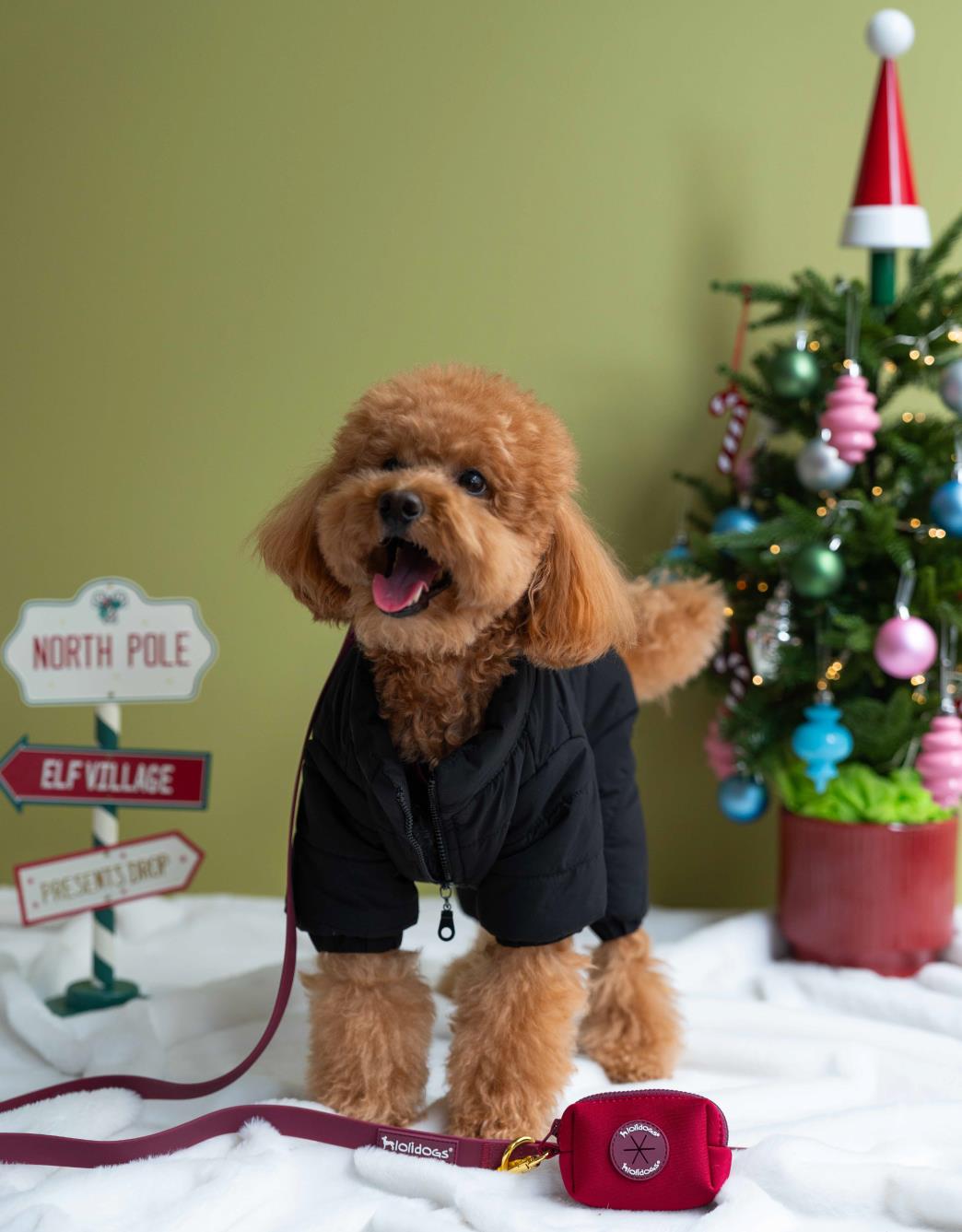 Lolidogs Puffer Köpek Tulum Montu | Jet Black