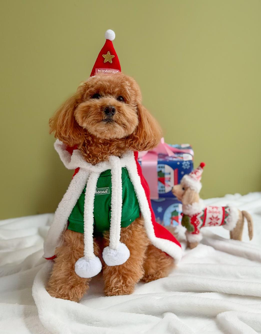 Lolidogs Köpek Polar Pelerin | Santa Cape