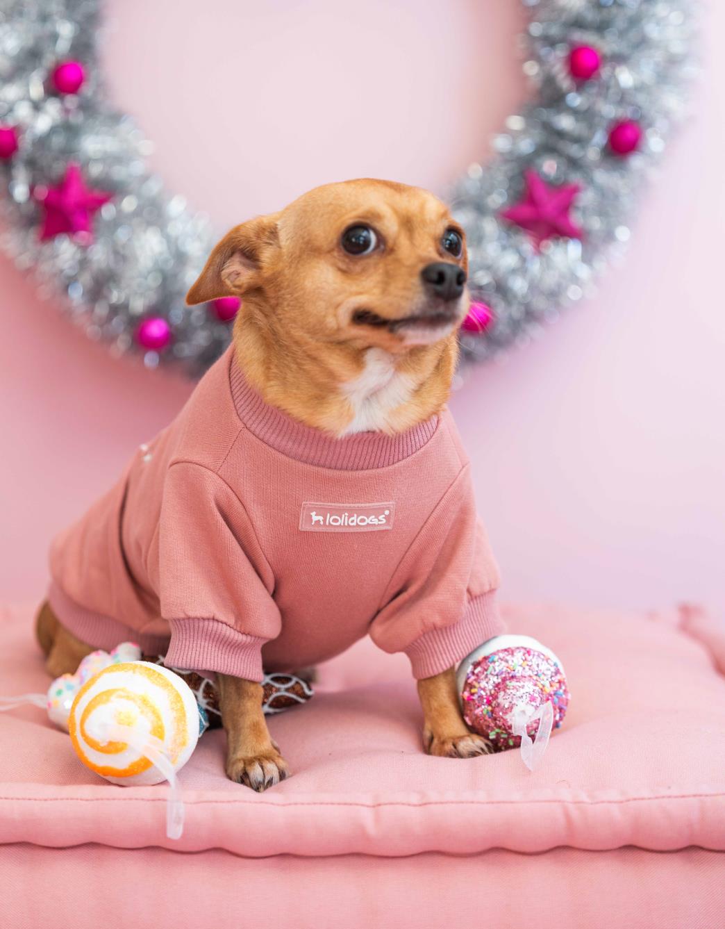 Lolidogs Köpek Sweatshirt | Snow Globe Somon