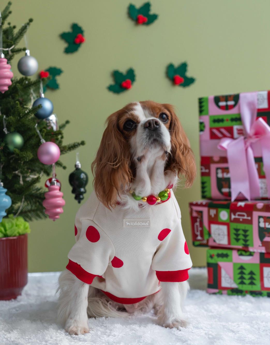 Lolidogs Köpek Sweatshirt | Rouge