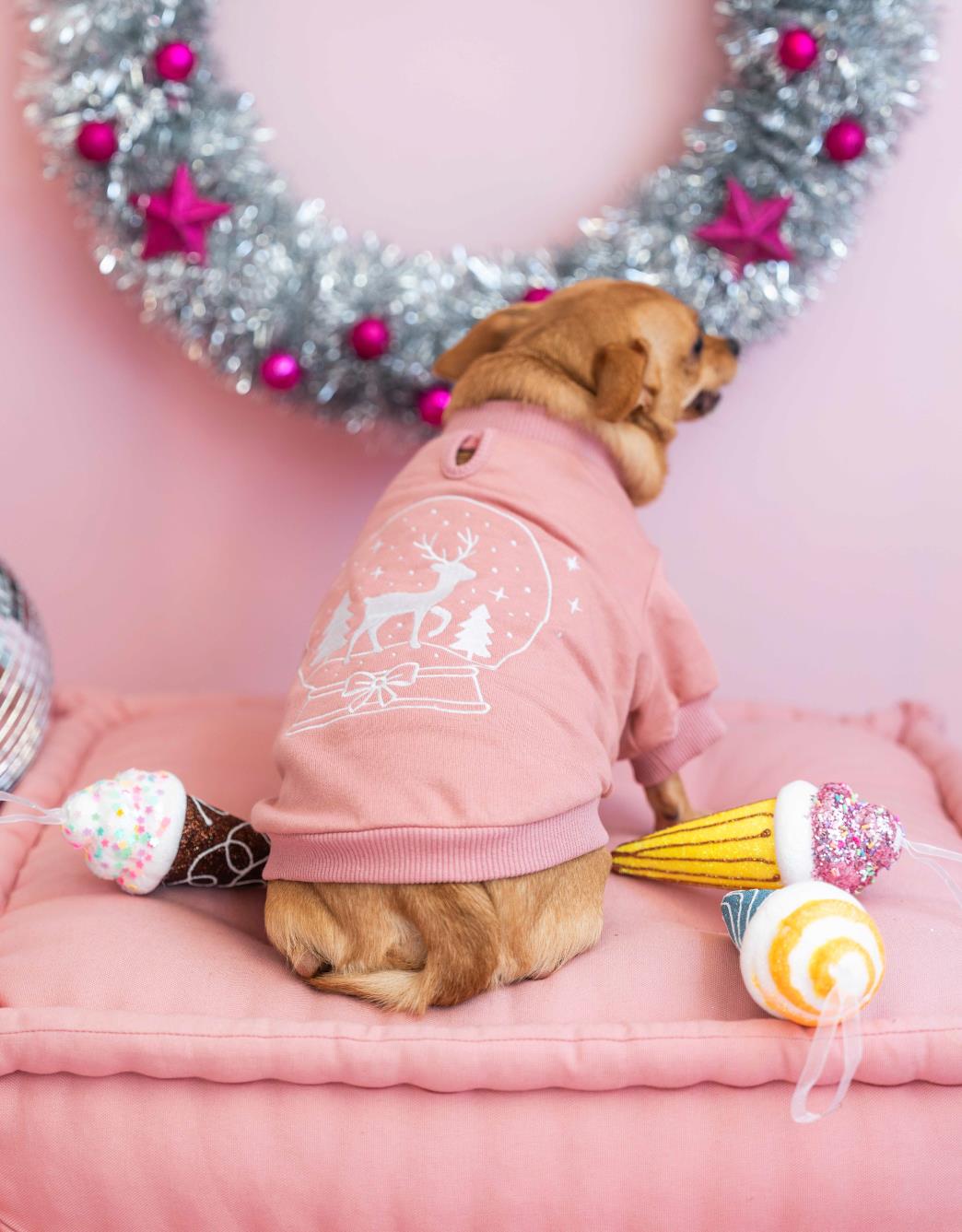 Lolidogs Köpek Sweatshirt | Snow Globe Somon