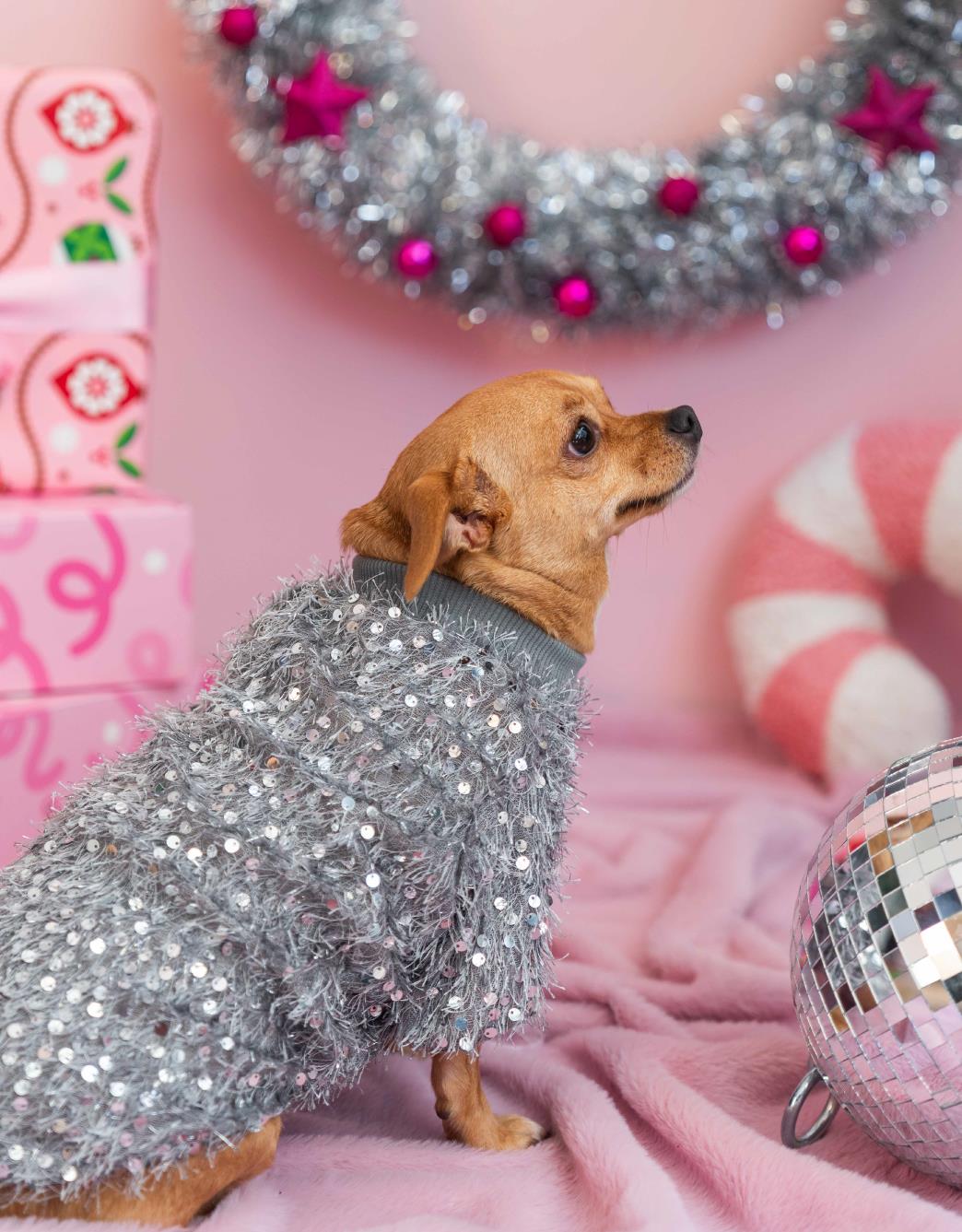 Lolidogs Köpek Tshirt | Disco